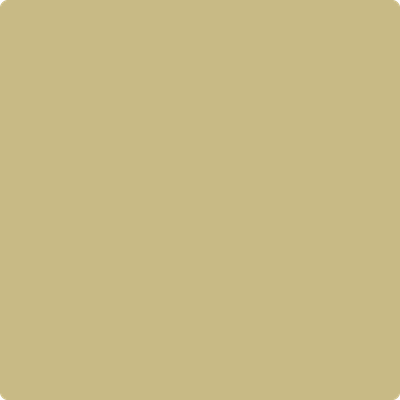 Benjamin Moore's 2149-40 Timothy Straw Paint Color