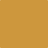 Benjamin Moore's 2154-20 Spicy Mustard Paint Color