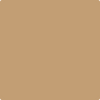 Benjamin Moore's 2162-40 Peanut Shell Paint Color