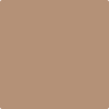 Benjamin Moore's 2164-40 Serengeti Sand Paint Color