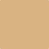 Benjamin Moore's 2165-40 Dark Beige Paint Color