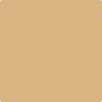 Benjamin Moore's 2165-40 Dark Beige Paint Color