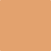 Benjamin Moore's 2166-40 Soft Pumpkin Paint Color