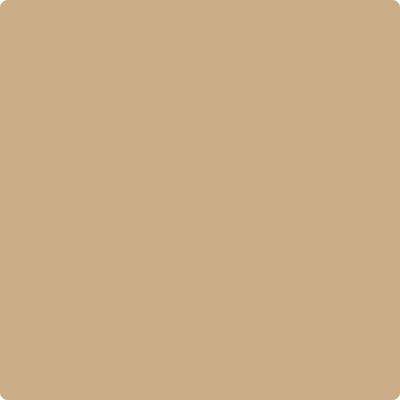 Benjamin Moore Color CC-304 Sisal