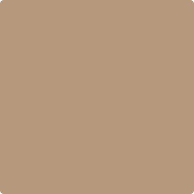 Benjamin Moore Color CC-486 Tiramisu