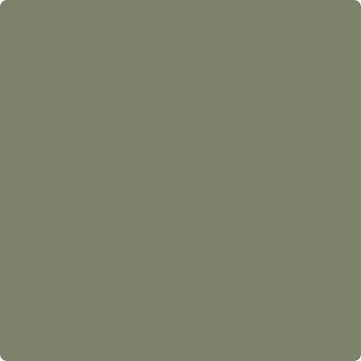 Benjamin Moore Color CC-600 Mossy Oak