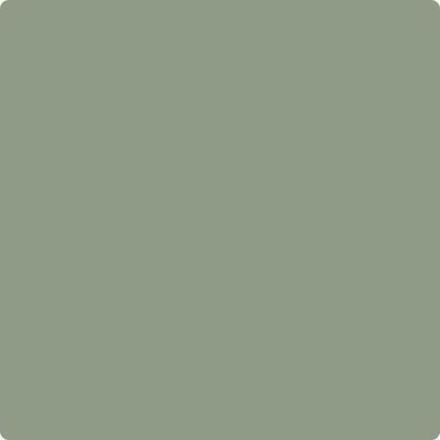Benjamin Moore Color CC-620 HIgh Park
