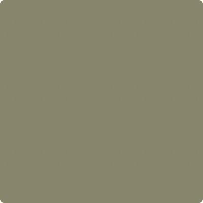 Benjamin Moore Color CC-694 Tapenade