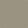 Benjamin Moore Color CC-696 Taiga 