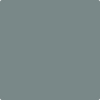 Benjamin Moore Color HC-161 Templeton Gray 